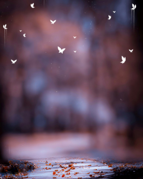 Realstic Blur CB PicsArt Editing Background Download