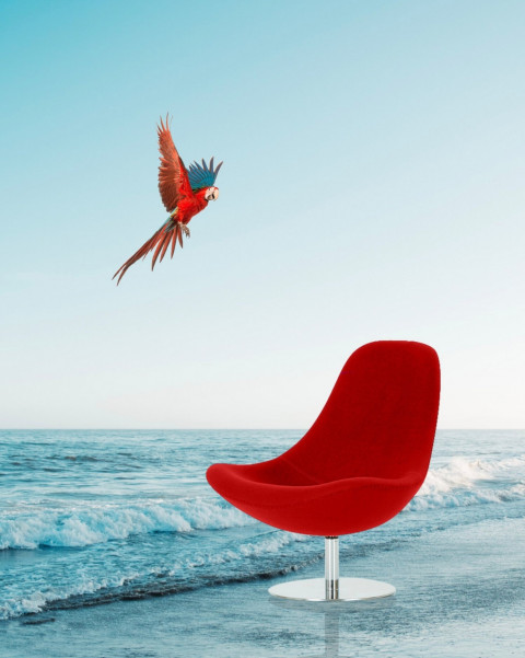 Red Chair Viral Editing CB PicsArt HD Background