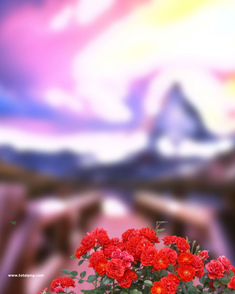 Red Flowers CB Photoshop Editing Background