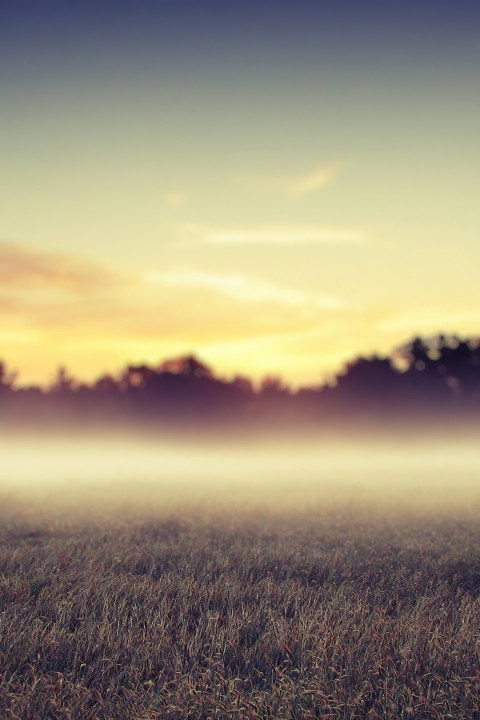 Sky Nature Blur Cb Background HD For Photo Editing Photos