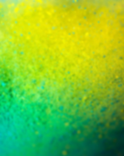 Snapseed Holi Editing Background Full HD Download New