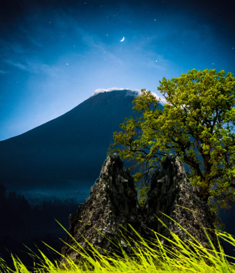 Snapseed New Photo Editing Free Tree Background Full HD