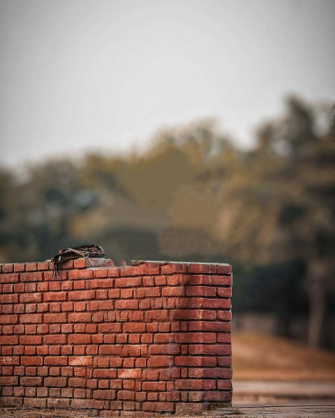 Snapseed Viral Atharv Raut Background For Photo Editing