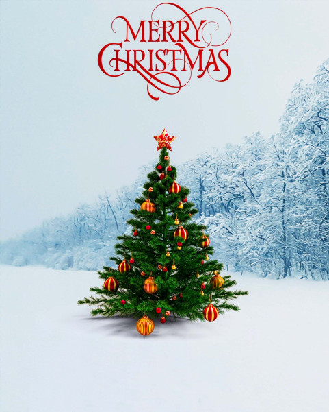 Snowfall With Christmas Tree Editing HD Backgrounds