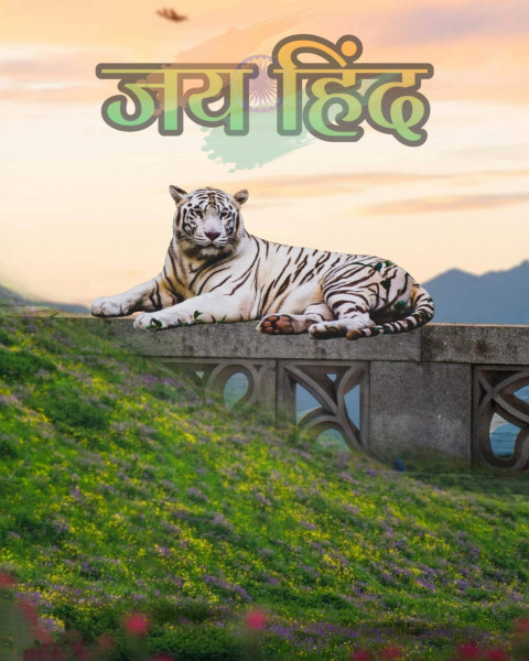Tiger Happy Independence Day CB Editing Background for Picsart & Photoshop