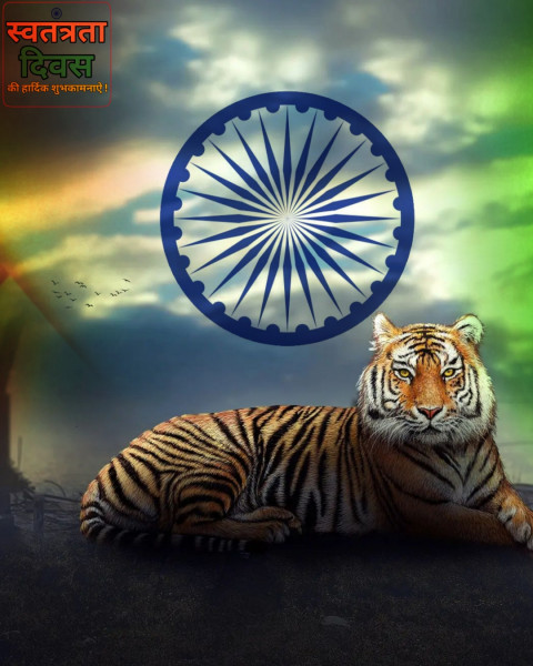 Tiger Picsart Independence Day HD Background Download