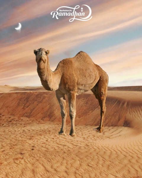 Top Ramadan Background For CB PicsArt Editing Full HD