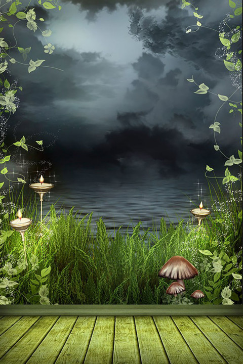 Tree Forest Outdoor Studio Background HD Download HD