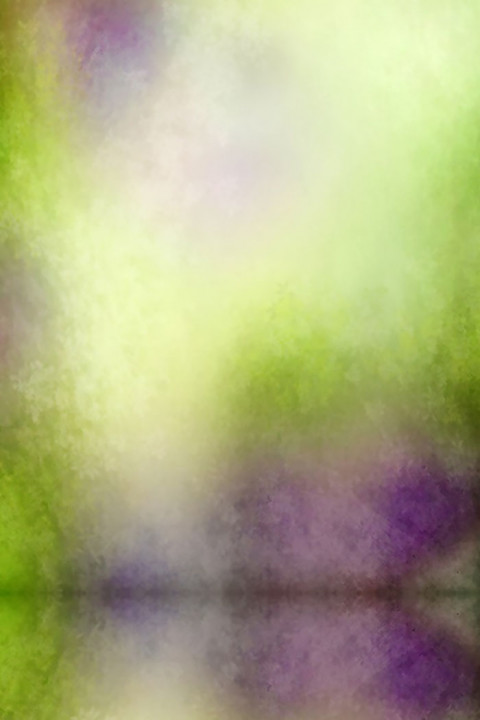 Tree Forest Outdoor Studio Background HD Download New