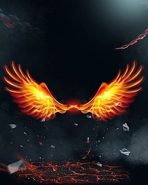 Wing Picsart Background Download For Photo Editing HD