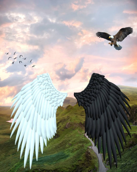 Wings Picsart Background For Photo Editing