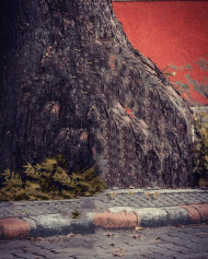 Atharv Raut Snapseed Background For Photo Editing