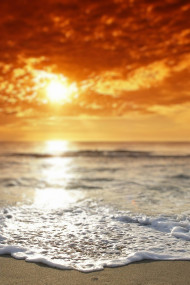 Best Blur Nature Editing Background Downlaod Photos