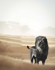 Black Lion Picsart CB Edit Background Download