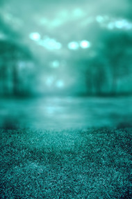 Blur Autumn Forest Tree CB Picsart Background HD Download New