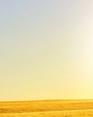 Blur Nature Photo Editing Background Download Free