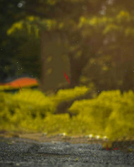 Blur Snapseed Editing Background Full HD
