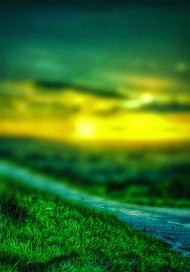 Blur Tree Green CB Photo Editing Full HD Background Download Pic