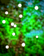 Bokeh Effect Photoshop Background For CB Editing