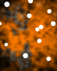 Bokeh Effect Photoshop Background For CB Editing