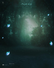 Butterflay CB Picsart Editing HD Background Download Free
