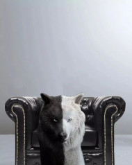 Chair Picsart Editing Background Full HD Images