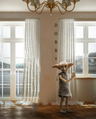 Dobby CB Background For Photo Editing