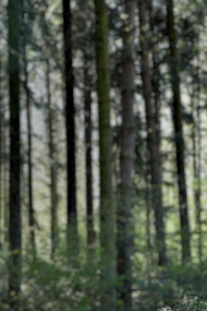 Dslr Blur Photo Editing Cb Background Download Free New
