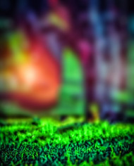 Green Forest CB Picsart Background HD For Photoshop Editing New