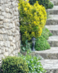 Green Garden CB Picsart Photo editing Background Full HD
