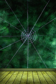 Green Indoor Studio Background HD Images Download Pic