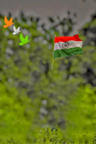 Happy Independence Day CB Background For Picsart Photo Editing New