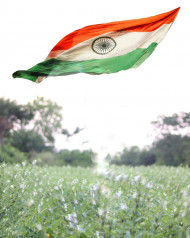 Happy Independence Day CB Editing Background for Picsart & Photoshop