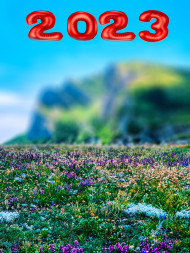 Happy Near Year 2023 Forest Blur CB Editing Background