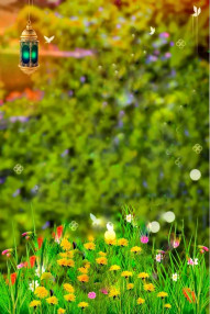 Hd CB PicsArt Editing Grass Background Download