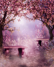 Home indoor Studio Background Wallpapers  Ultra