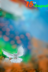 Independence Day 15 August Editing Background New Images Dp