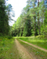 Nature Blur CB Editing Background Download New