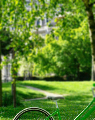 Nature Blur Garden Picsart Editing Background