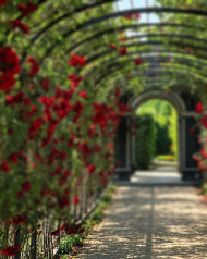 Nature Editing CB Picsart Background Download Full HD