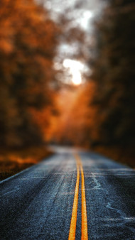 Nature Highway Photo Editing Background For Picsart HD New