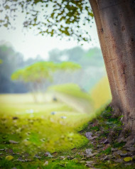 Nature Instagram Viral Photo Editing background Download HD (Free)