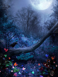 Nature Photo Studio Background HD Images  Ultra HD