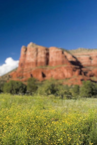 Nature Photoshop Dslr Editing Background Download