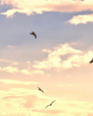 Nature Sky Photo Editing Background Download