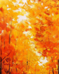 Nature Sunset CB Photo Editing Background Photoshop Free