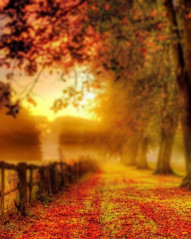 Nature Sunset CB Photo Editing Background Photoshop New