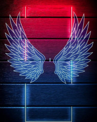 Neon Wings Creative Editing Background