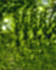 New CB Photo Editing Photoshop HD Background Free
