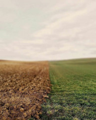 New Nature CB Editing Background HD For PicsArt